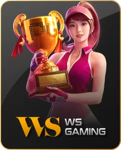 wssport-game-provider-icon